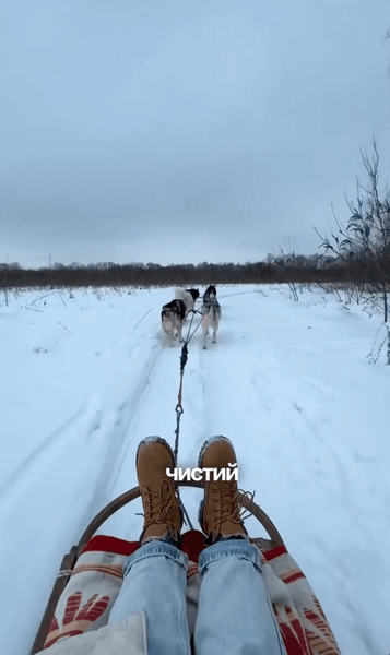 локации под Киевом 8 "Дом хаски"